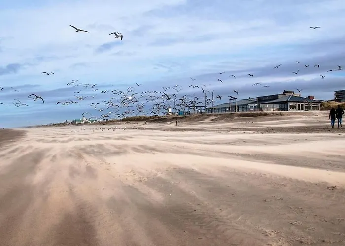 Bed & Beach Noordwijk - Free Parking And Close To Beach!